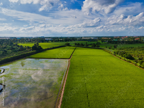 View of green paddy field with city at background. - top down aerial view