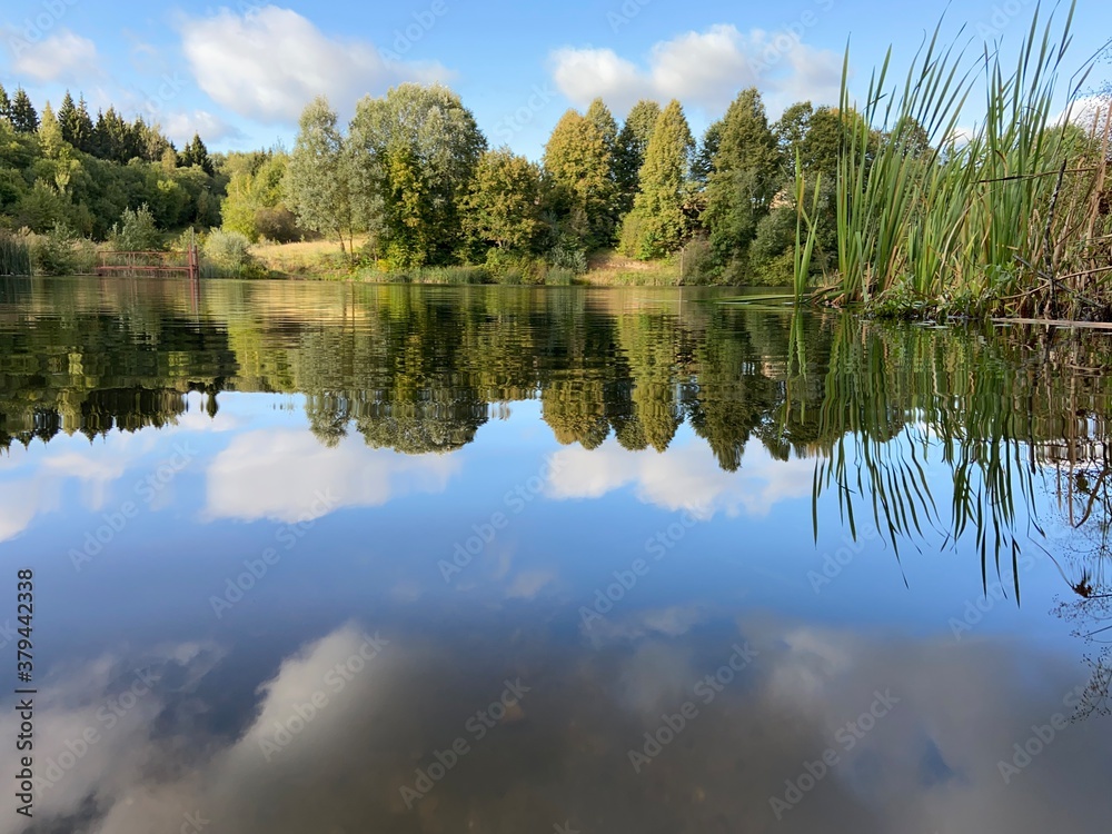 Obraz premium reflection of trees in lake