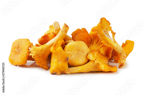 Raw fresh chanterelle mushrooms