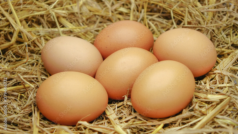 Six eggs on a haystack.Eggs in a nest. Six eggs on a haystack.Eggs in a nest.