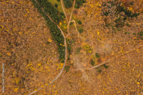 Aerial view of autumn fores...