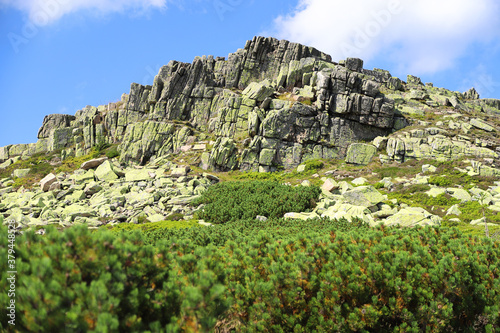 The rock formation Labski Szczyt or Violik (in Polish and Czech), is a mountain peak (1471 m above sea level) located in the Giant Mountains on the border between Poland and the Czech Republic. photo