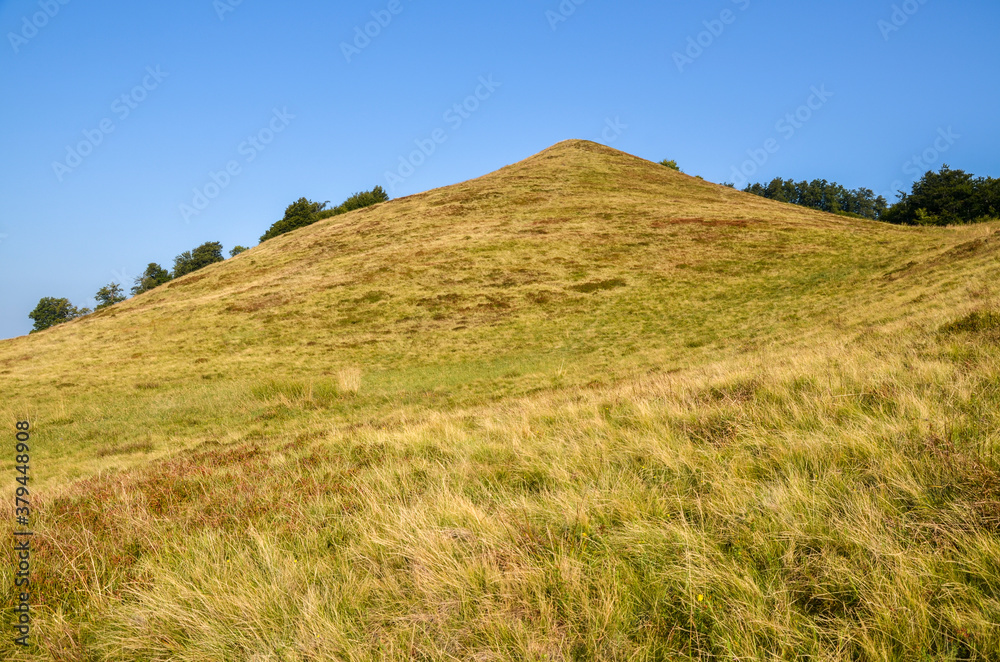 Grassy slopes and the top of Mount Tyapesh on a sunny summer day in the Ukrainian Carpathians, Transcarpathian region