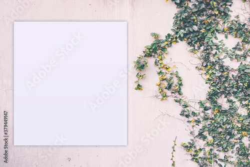 Feminine template for branding identity with blank paper greeting card.