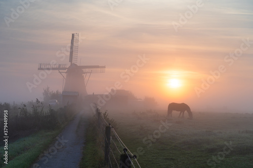 A horse in a meadow during a foggy sunrise in the Dutch countryside near a windmill.