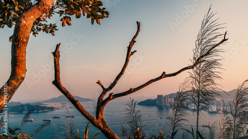 Photography Hong kong at its transformation time