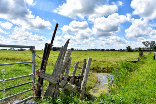 Enjoy the unique beauty of the typical Dutch landscape with its varied nature reserve full of streams, fences and extensive meadows. Netherlands, Holland, Europe photo