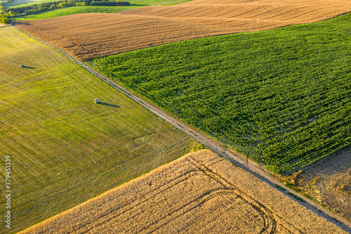 Aerial photo about fields.