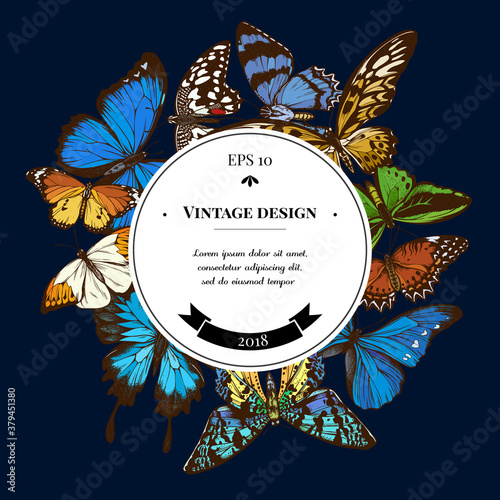 Badge over design with red lacewing, african giant swallowtail, alcides agathyrsus, common green birdwing, madagascan sunset moth, great orange-tip, plain tiger photo