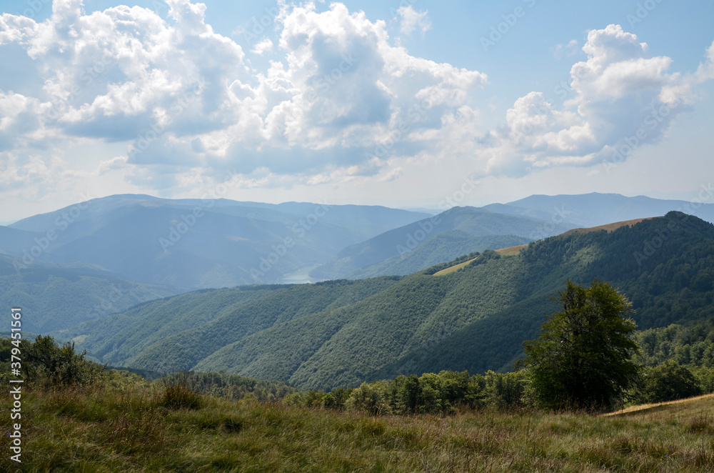 Amazing view of peaceful intact nature on a sunny autumn day in the countryside with Carpathian mountains in the back and old grass on the ground