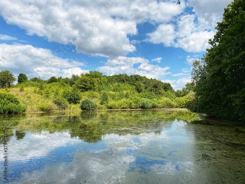 river in the forest