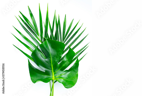 Bouquet with green tropical leaves. Isolated on white.