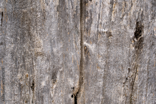 shabby weathered color door wood texture graphic resource