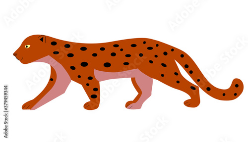 Yellow leopard with black spots on white background. Vector illustration.