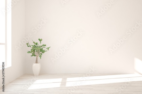 White empty room with green flower. Scandinavian interior design. 3D illustration
