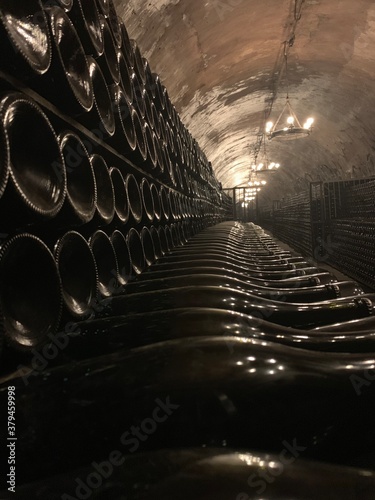 wine bottles in the cellar