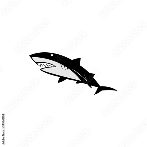 fish logo icon vector design