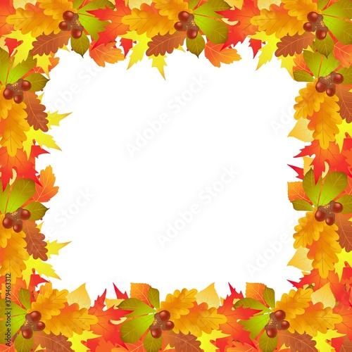 autumn leaves, background, illustration, vector,