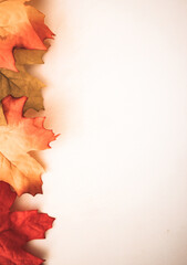 Top view of dried maple leaves on a white surface with copy space