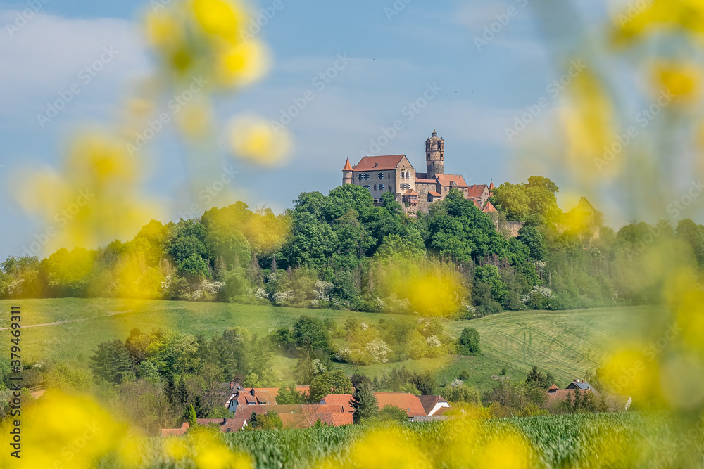view on ronneburg castle in hesse, germany with yellow and green foreground elements during summertime