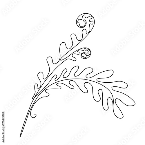 One Line Drawing Fern Leaf Twig. Minimal One Line Drawing