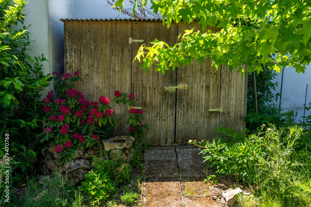 Fototapeta premium old wooden shed in the sun with flowering plants and trees in the foreground