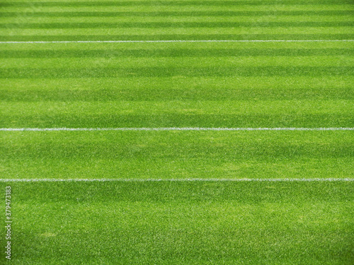 Green natural grass tennis court