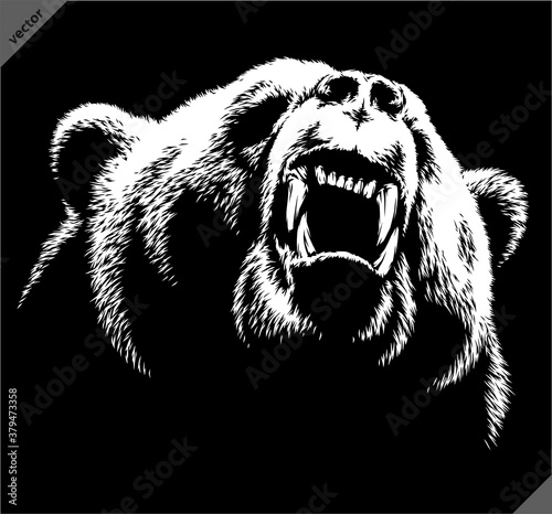black and white linear draw bear vector illustration