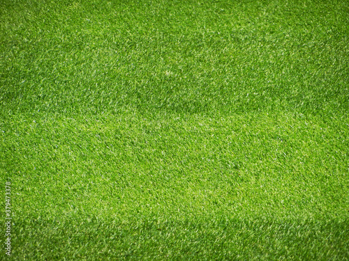Green natural grass detail