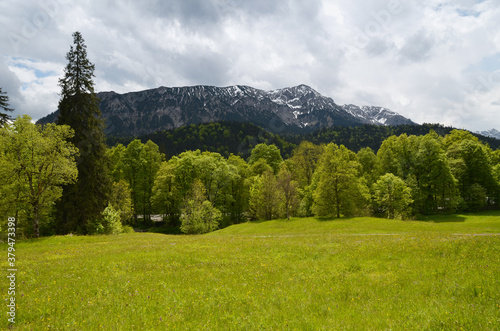 The beautiful gardens of Linderhof Castle in Bavaria Germany - LINDERHOF, GERMANY photo