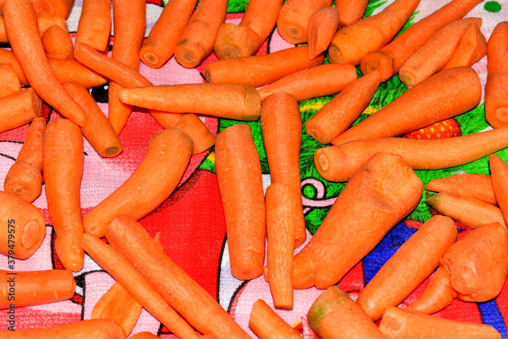 Peeled and washed carrots are ready for processing. Peeled and washed carrots are ready for processing.
