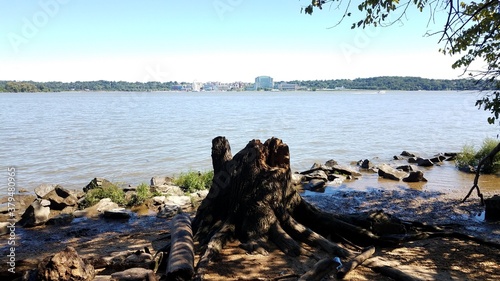 tree stump and rocks and river and National Harbor