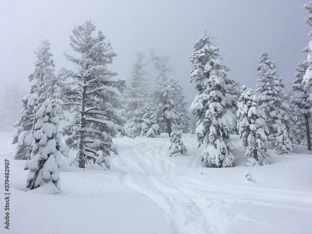 Moody winter landscape scene at a ski resort after a big storm, with deep powder and snow covered trees on a grey and cloudy day