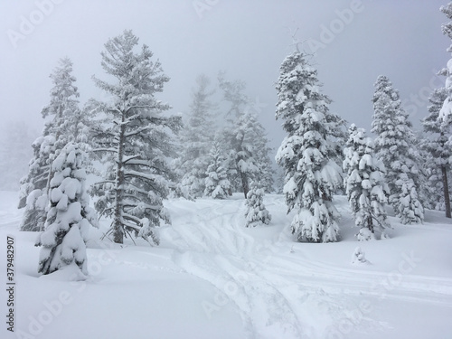 Moody winter landscape scene at a ski resort after a big storm, with deep powder and snow covered trees on a grey and cloudy day