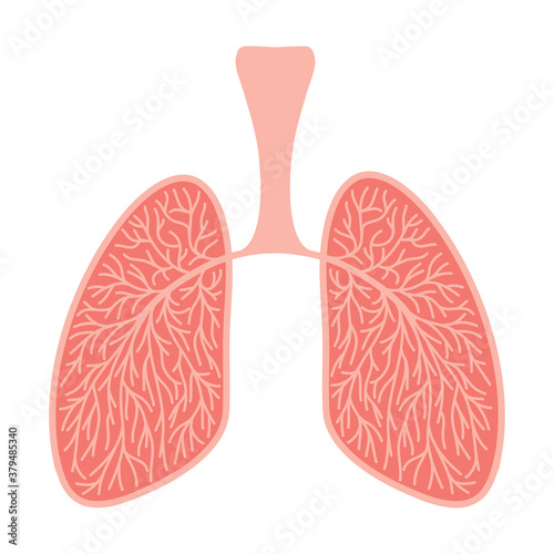 Colored illustration of human lungs. Freehand drawing icon clipart medicine, healthy human lungs