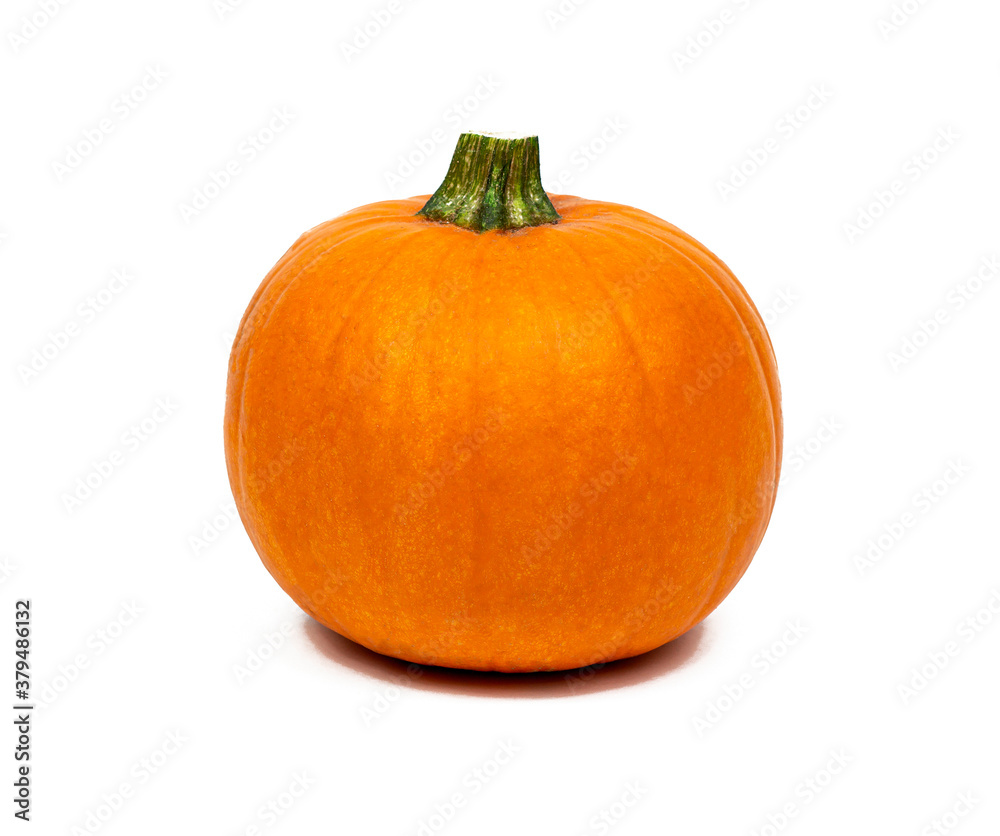 Fresh raw orange pumpkin harvest isolated on white background. Fresh raw orange pumpkin harvest isolated on white background.
