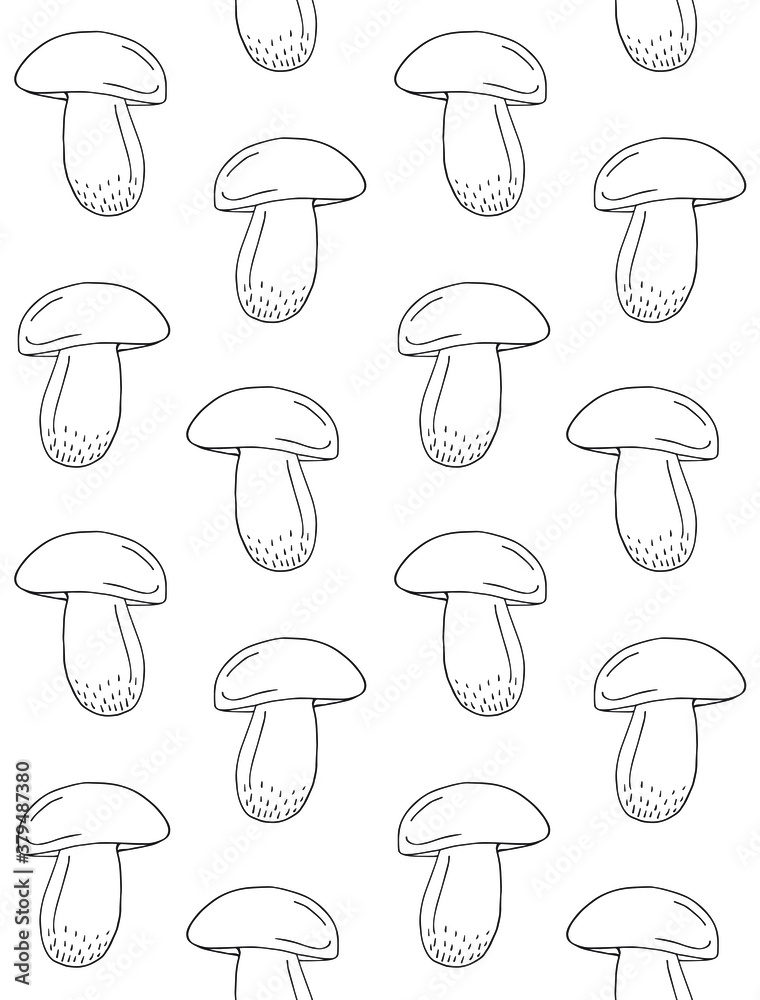 Vector seamless pattern of hand drawn doodle sketch King bolote cep mushroom isolated on white background