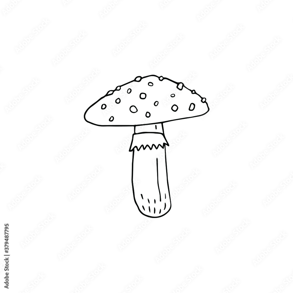 Vector hand drawn doodle sketch fly agaric mushroom isolated on white background Vector hand drawn doodle sketch fly agaric mushroom isolated on white background