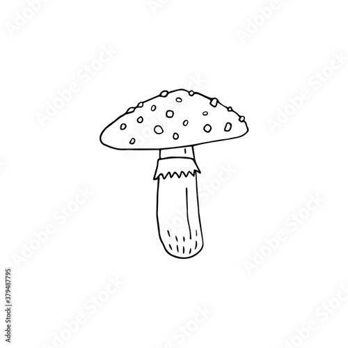 Vector hand drawn doodle sketch fly agaric mushroom isolated on white background