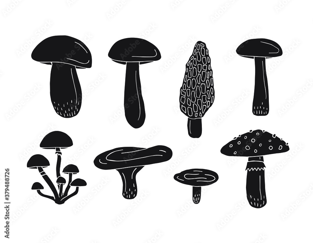 Vector set bundle of black hand drawn doodle sketch mushroom isolated on white background