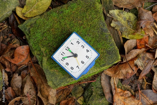 one white square alarm clock lies on a stone surrounded by green moss and fallen brown leaves photo