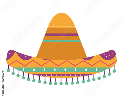 Isolated mexican hat vector design