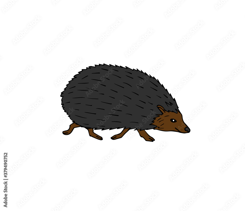 Fototapeta premium Vector hand drawn doodle sketch colored hedgehog isolated on white background