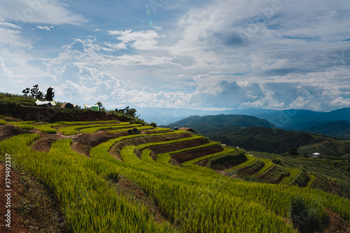 Pa Bong Piang Rice Terraces in Chiangmai , Thailand photo