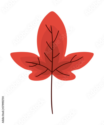 Isolated red leaf vector design