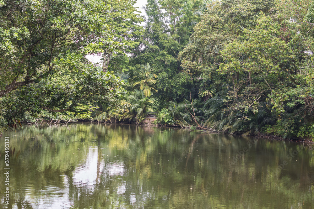 Taiping lake district and Zoo