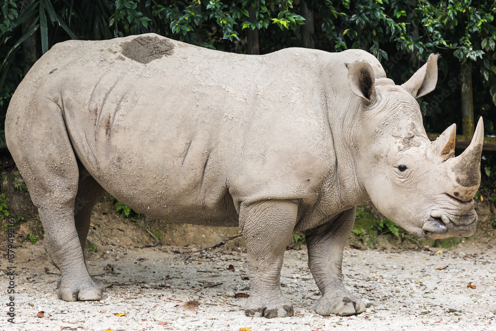 Naklejka premium Taiping lake district and Zoo