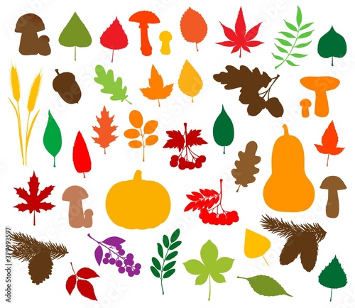 Autumn nature silhouettes with vector fallen leaves, harvest vegetables, fruits and mushrooms. Pumpkins, maple, oak and chestnut tree foliage, acorn, pinecones, wheat, rowanberry and viburnum