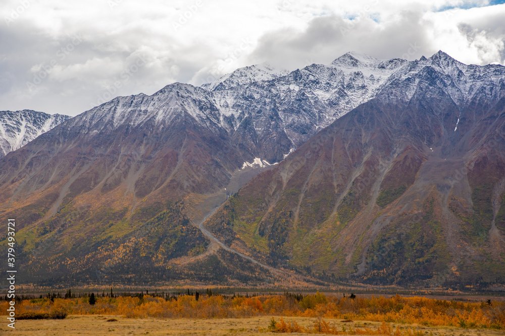 Stunning Haines Junction located in the northern Yukon Territory, Canada. Taken in the autumn with stunning yellow fall colored and snow capped mountains. Stunning Haines Junction located in the northern Yukon Territory, Canada. Taken in the autumn with stunning yellow fall colored and snow capped mountains.