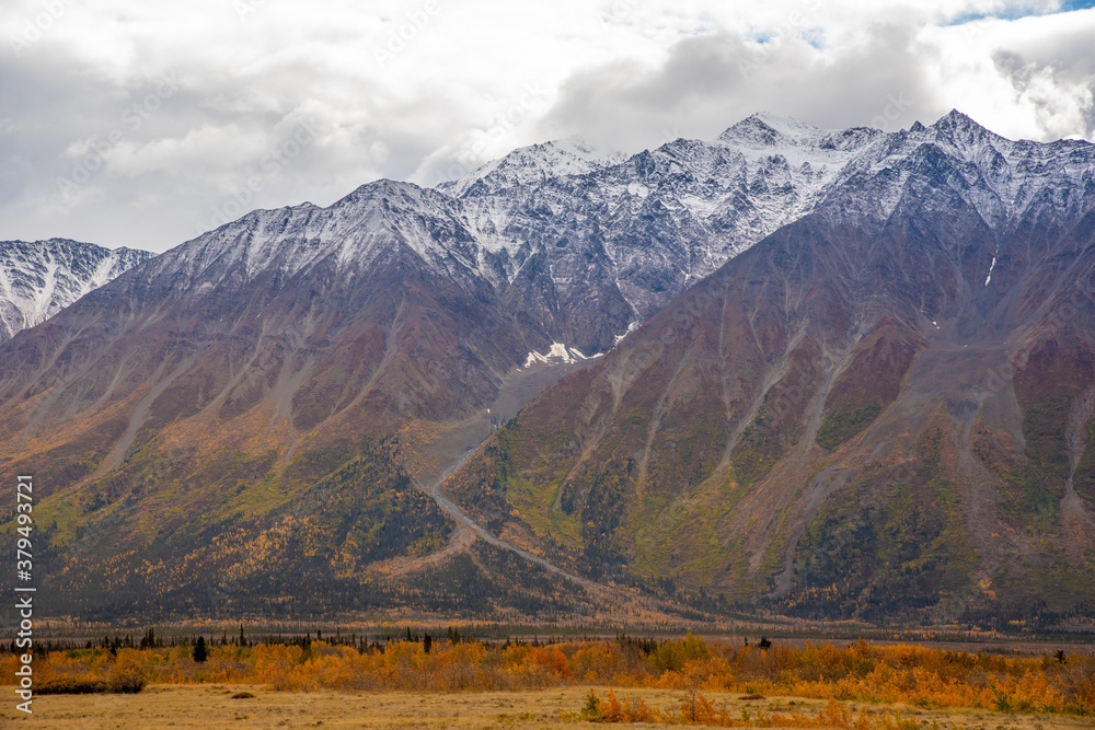 Stunning Haines Junction located in the northern Yukon Territory, Canada. Taken in the autumn with stunning yellow fall colored and snow capped mountains. 